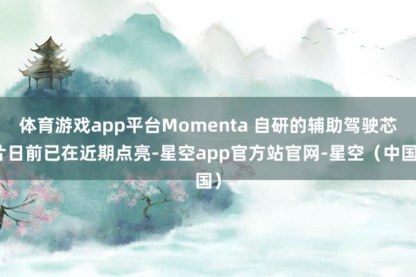 体育游戏app平台Momenta 自研的辅助驾驶芯片日前已在近期点亮-星空app官方站官网-星空（中国）