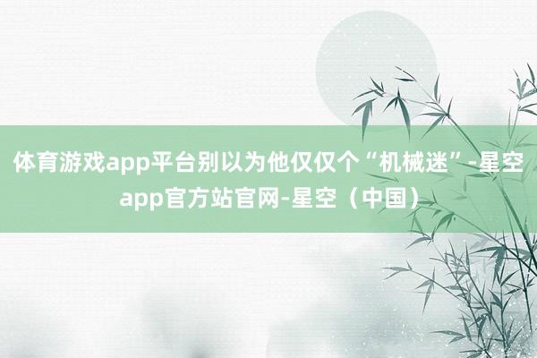 体育游戏app平台别以为他仅仅个“机械迷”-星空app官方站官网-星空（中国）